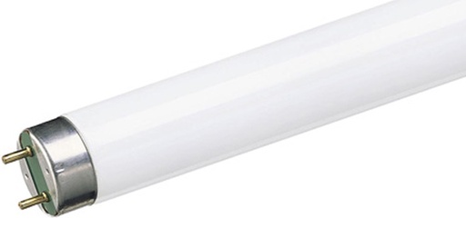 [052434] TUBO FLUORESCENTE LED DE 10WT (18 WTS)