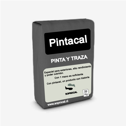 [068430] CAL PINTACAL SACO 25 KG